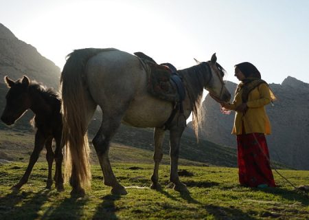 «رویای یک اسب»در جشنواره بیگ اسکای پذیرفته شد
