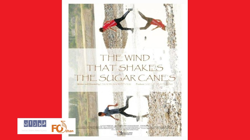 «باد در کشتزارهای نیشکر»برنده جایزه جایزه منتقدان یونان شد