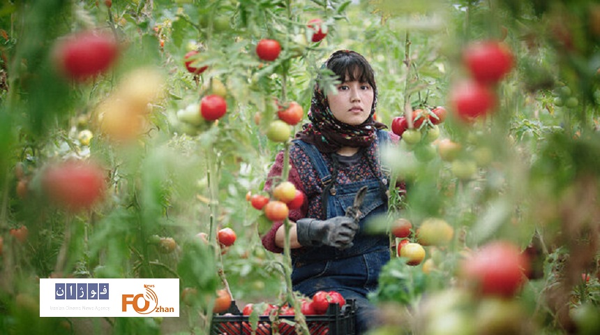 «در سرزمین برادران»در جشنواره ساندنس حضور یافت