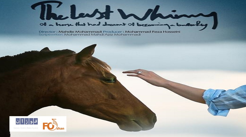 «آخرین شیهه اسبی که خواب پروانه شدن دیده بود»از آمریکا جایزه گرفت