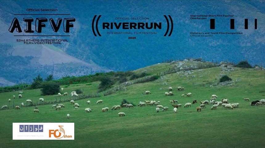 «گوسفند» به سه جشنواره مورد تایید اسکار راه یافت