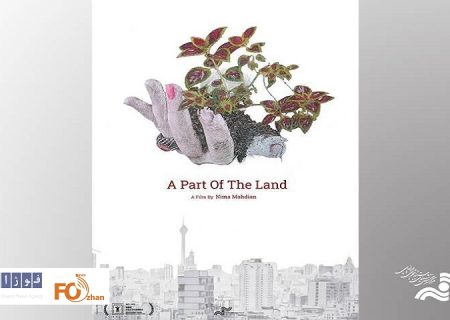 «یک وجب خاک»در شانگهای به رقابت می پردازد