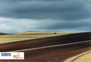 عکسی از«عباس کیارستمی»در بلژیک به حراج گذاشته می شود